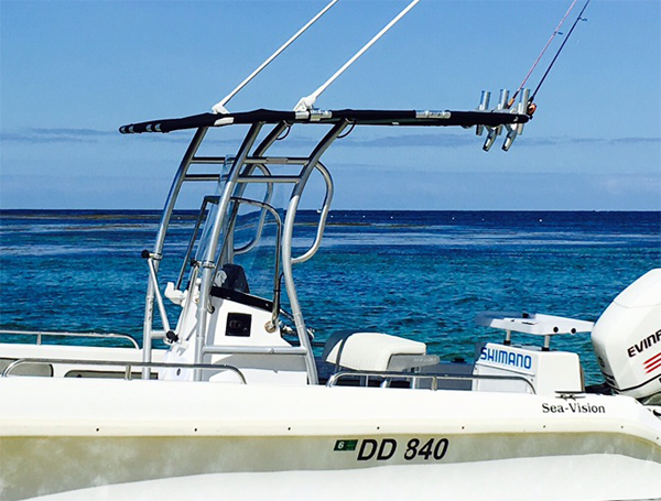 프로모션! Dolphin Pro2 센터 콘솔 보트 T  - Fishing Rod Boat 리뷰 및 가격